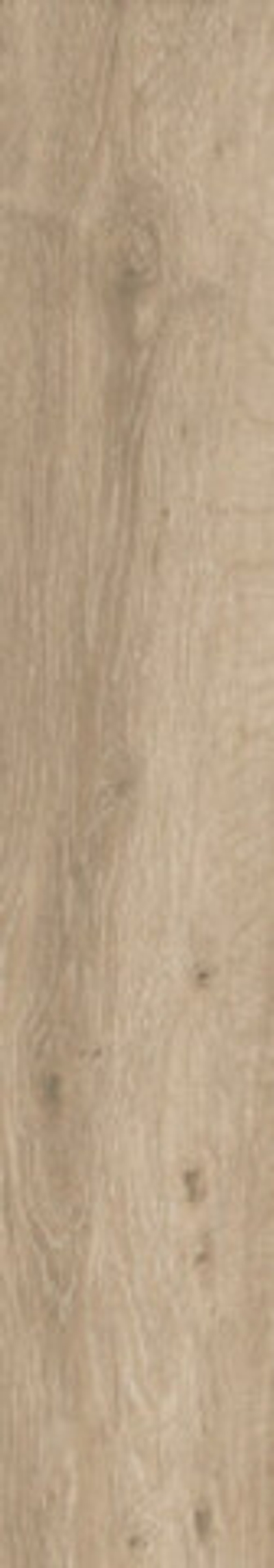 Керамогранит BASE FOREST NATURAL Matt 120