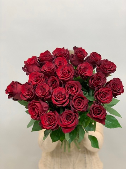 Букет 25 красных роз Эквадор 50см в ленте