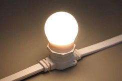 Светодиодная лампа для белт-лайт Е27, 24В, 2 Вт, d=45 мм, теплая белая (TPF-B-E27-G45-24V-2W-WW)