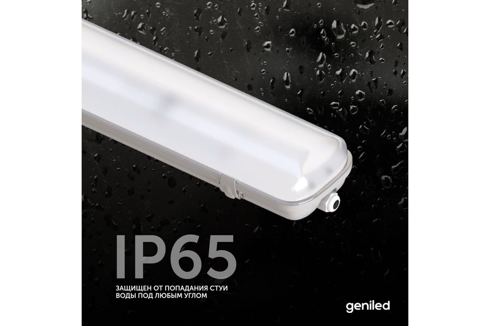 Светильник Geniled ЛСП Standart (аналог 2x18) 600 IP65 30Вт 5000К Матовый