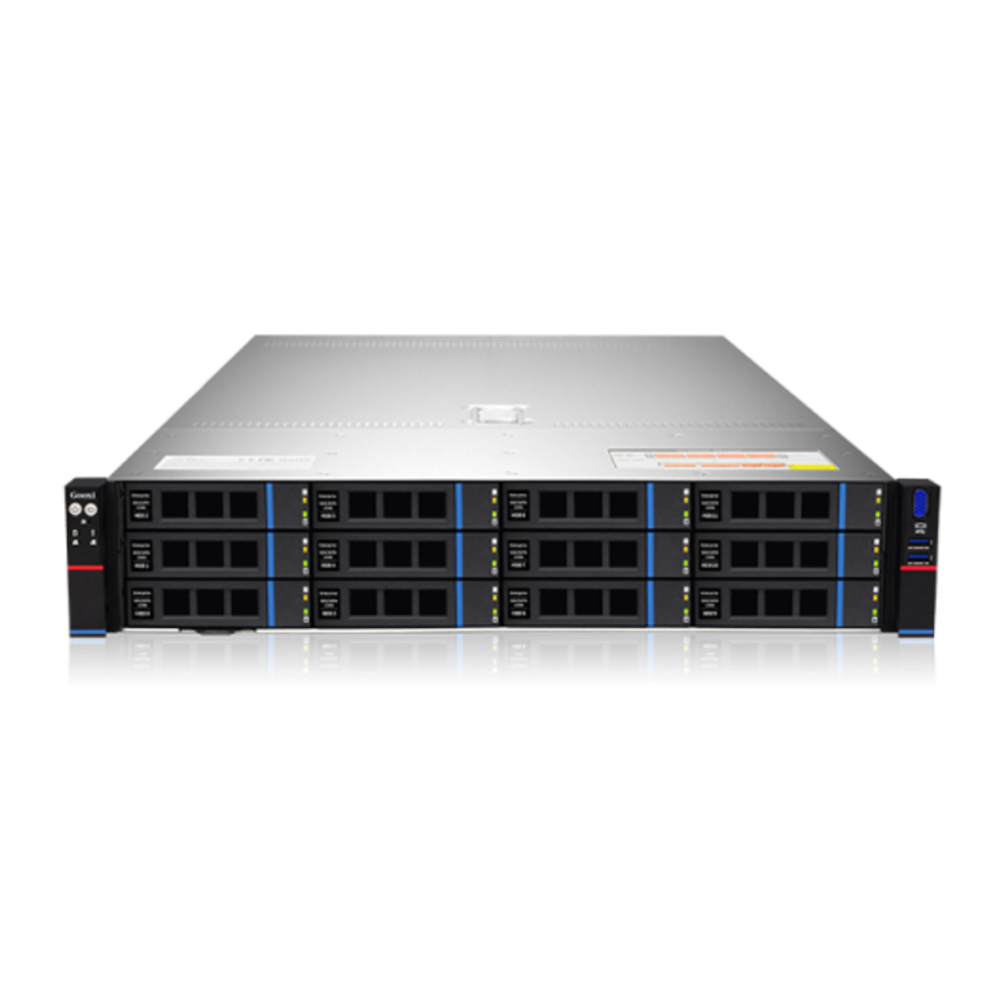 Серверная платформа Gooxi SR201-D12RE 2U 0.96.002.1026