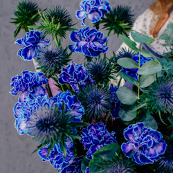 82. Элегантный стойкий синий букет с диантусами и эрингиумом