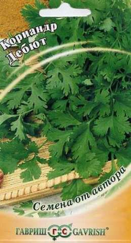 Кориандр Дебют 2г Гавриш