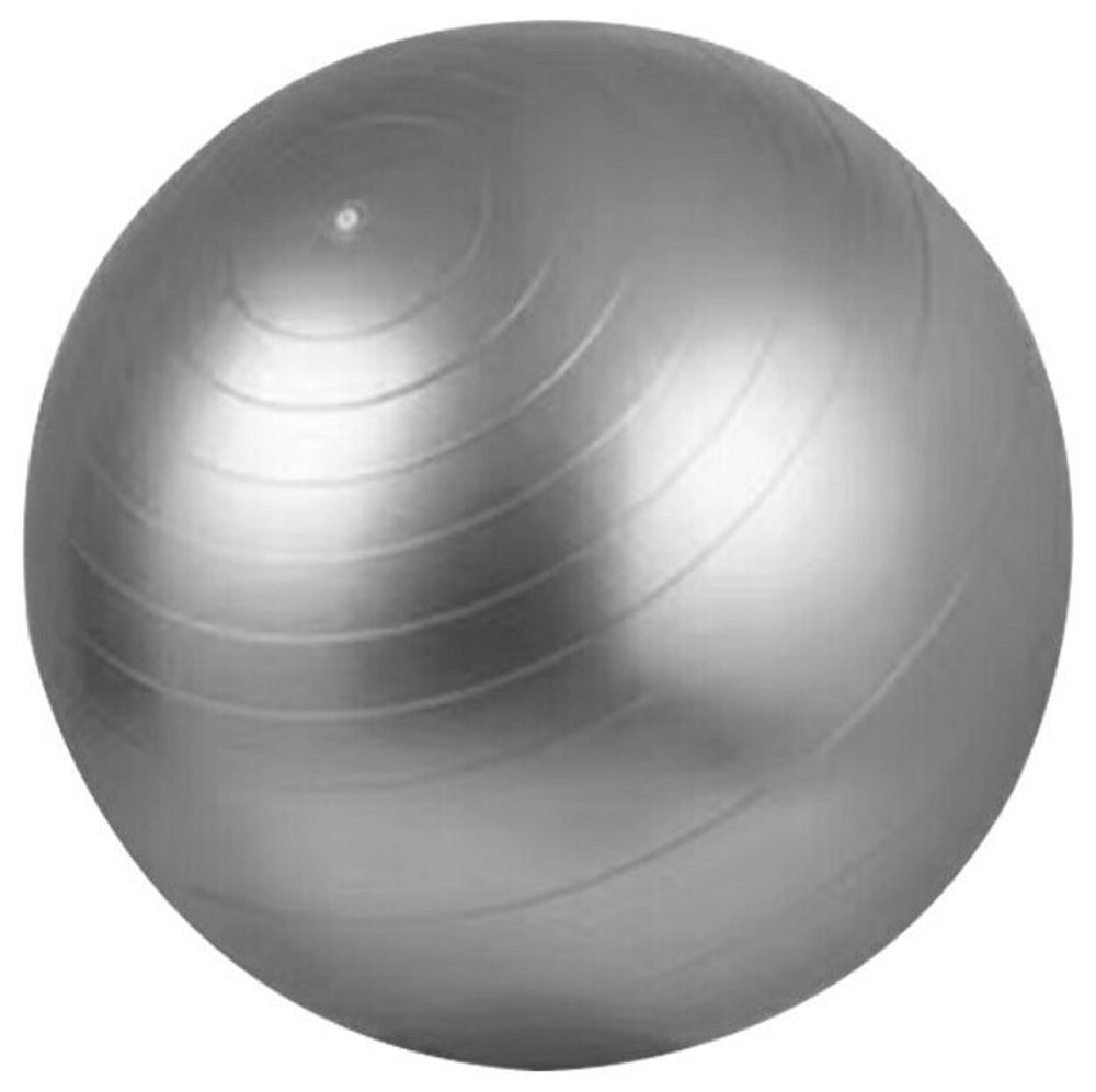 0206570/Мяч гимнастический, серебристый, 55 см/54
