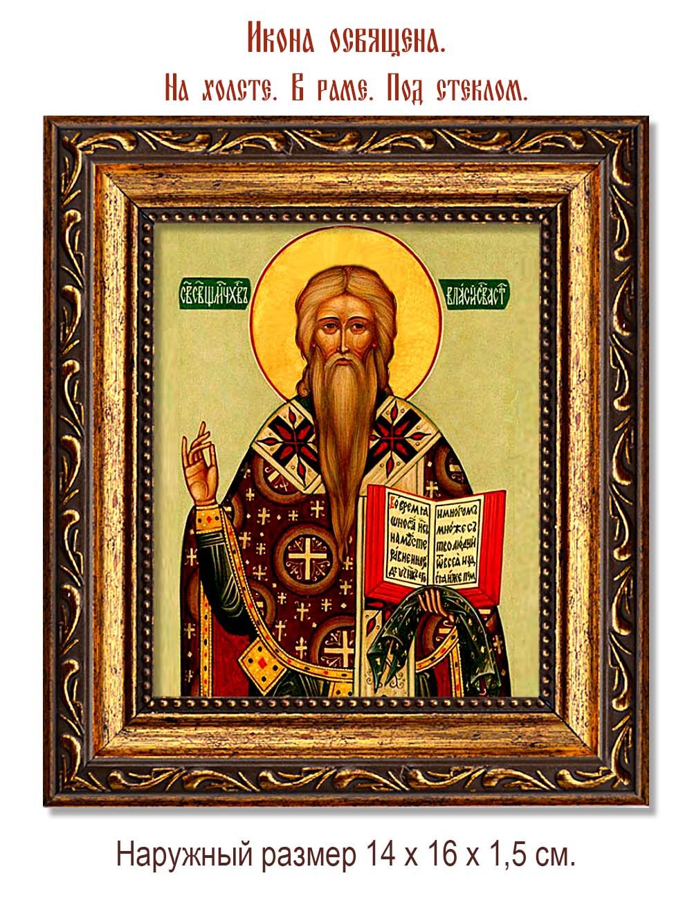 Власий Священномученик епископ Севастийский. Икона на холсте