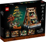 Конструктор LEGO Ideas 21338 Сельский домик