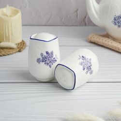 Набор для специй 2 предмета Солонка/Перечница d 5,1 см h7,3 см Sea Flower P.L. Proff Cuisine [1]