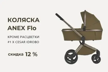 Скидка 10000 рублей на коляску Anex Flo!