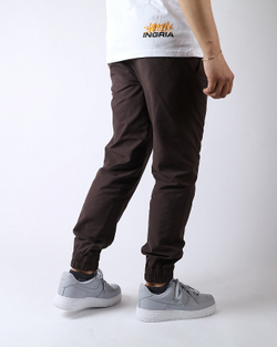 Брюки Anteater Simple_Joggers-brown