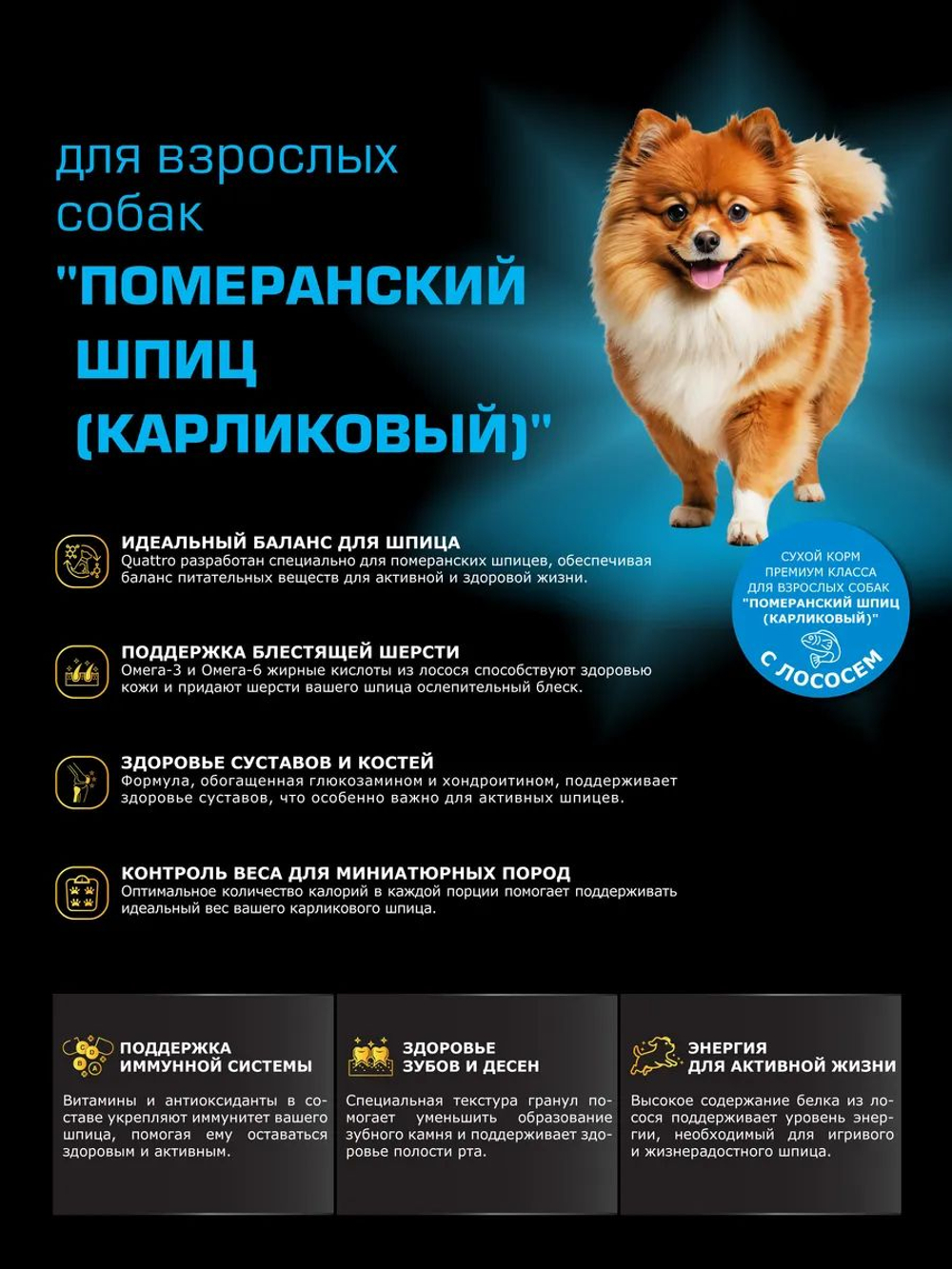 Корм сухой для взрослых собак породы Померанский шпиц (карликовый), с лососем, 12 кг, QUATTRO