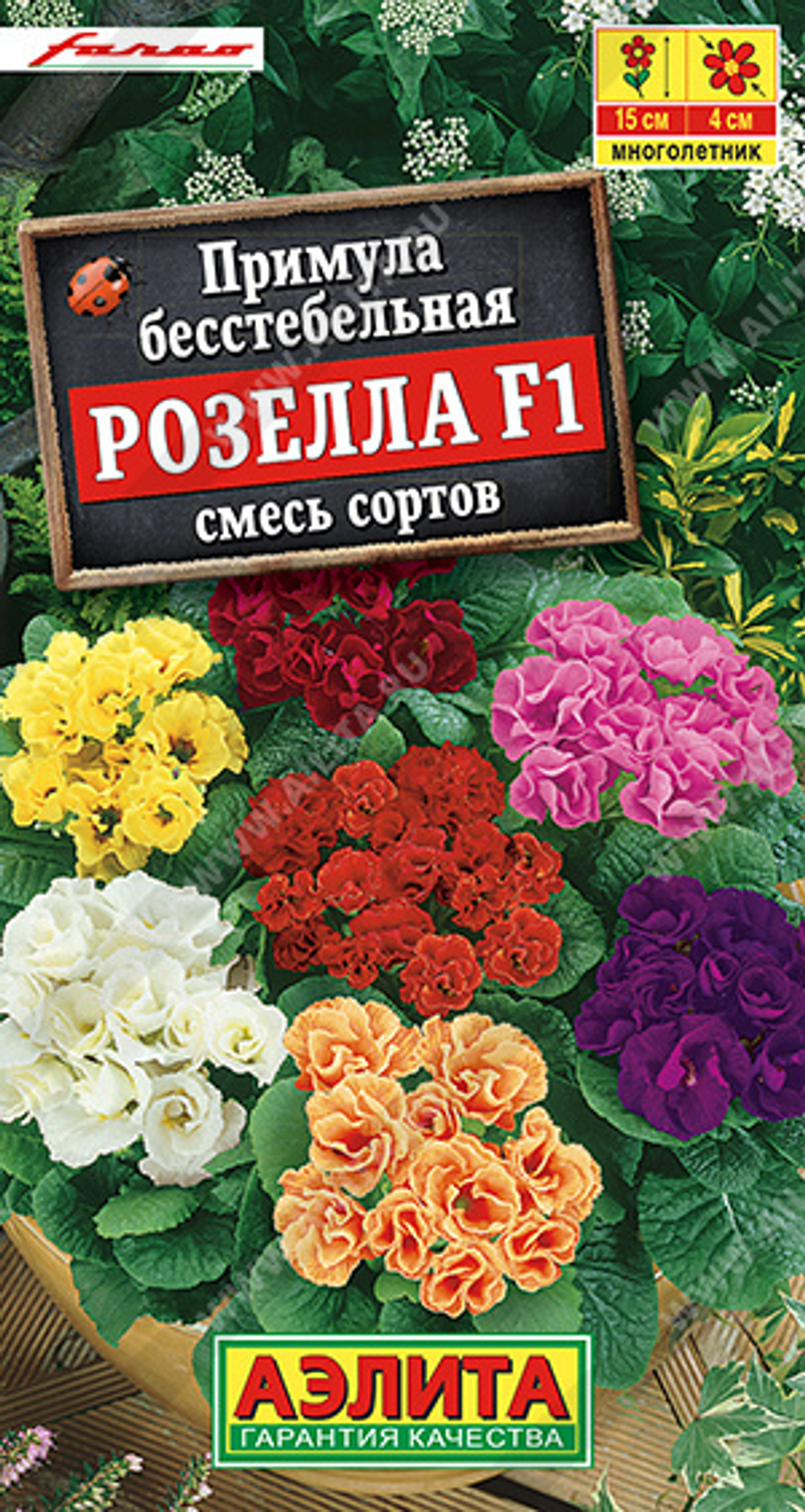 Примула Розелла F1, смесь окрасок 7шт Аэлита