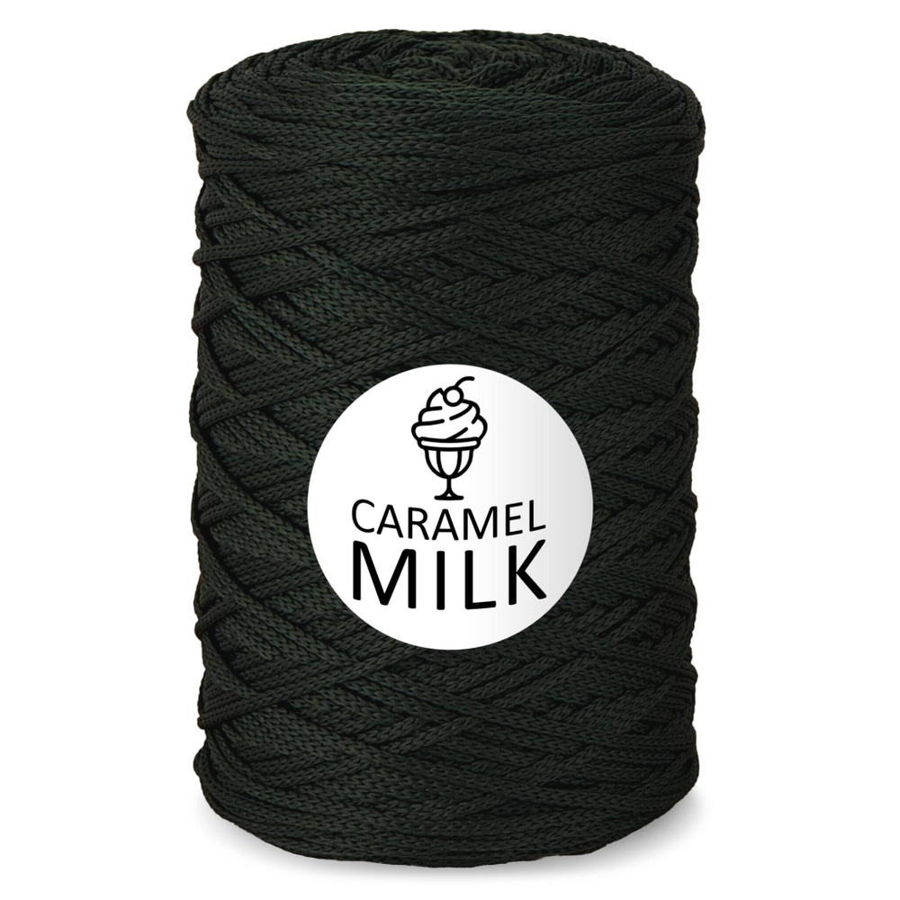 Шнур Caramel Milk, 3мм, 300м, 100% полиэфир (1 шт.)
