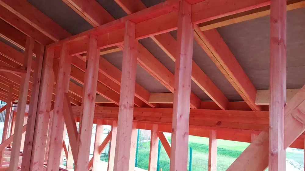 Сосна 50*100*6000 СУХ огнебио крс ДР Сосна 50*100*6000 СУХ огнебио крс ДР