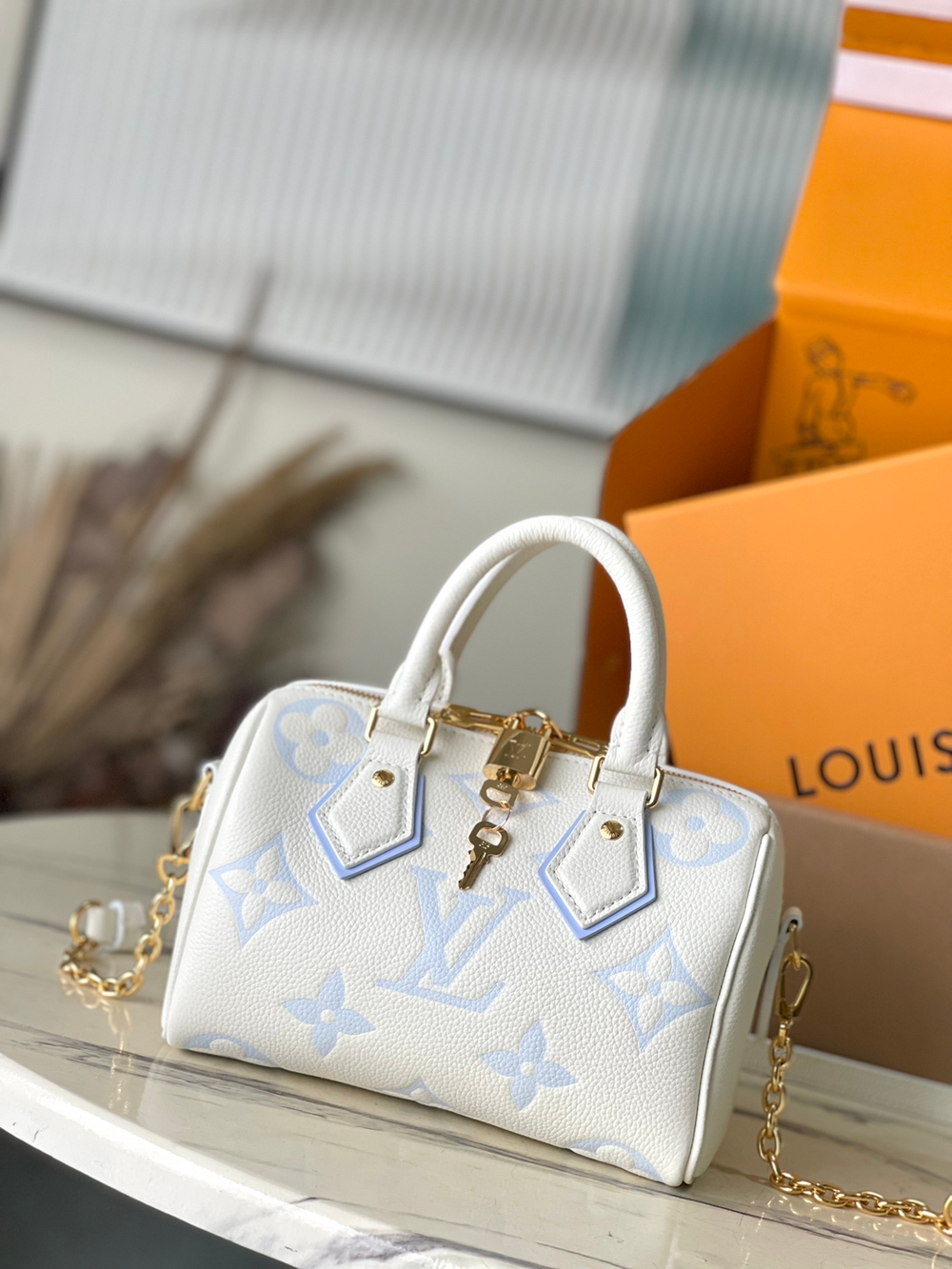 Louis Vuitton Speedy 20