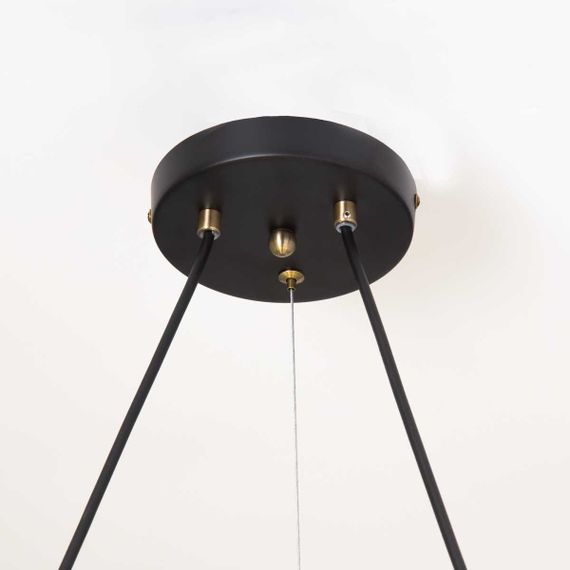 Подвесная люстра Citilux Планета CL105195