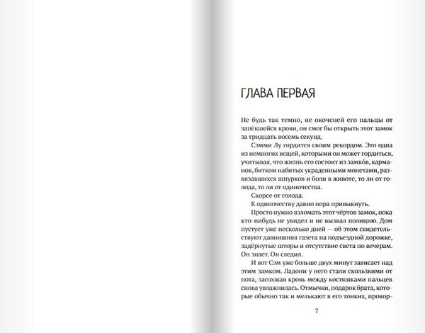 Мальчик, который крадёт дома