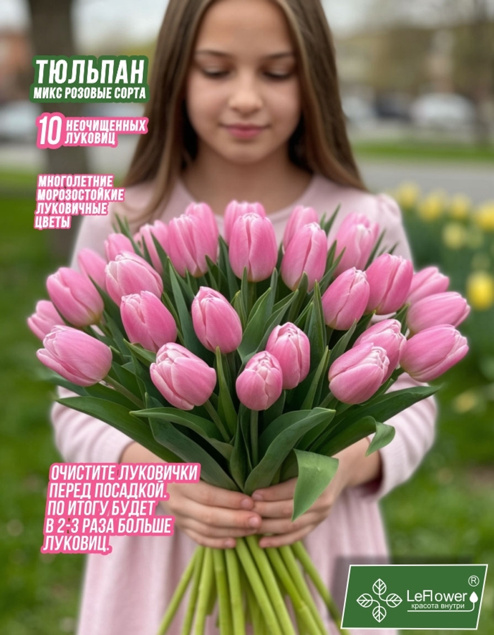 Тюльпан Луковица, Микс розовых сортов, 10шт