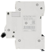 Автоматический выключатель  Systeme Electric C9F34410