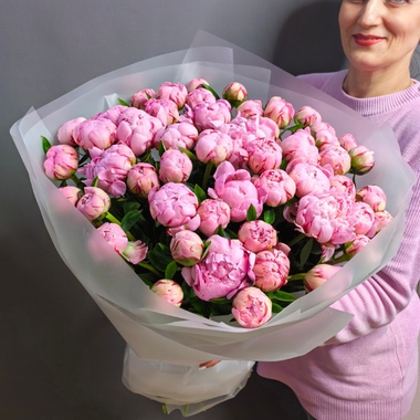 Букет из 51 пионов сорта "Сара Бернар"