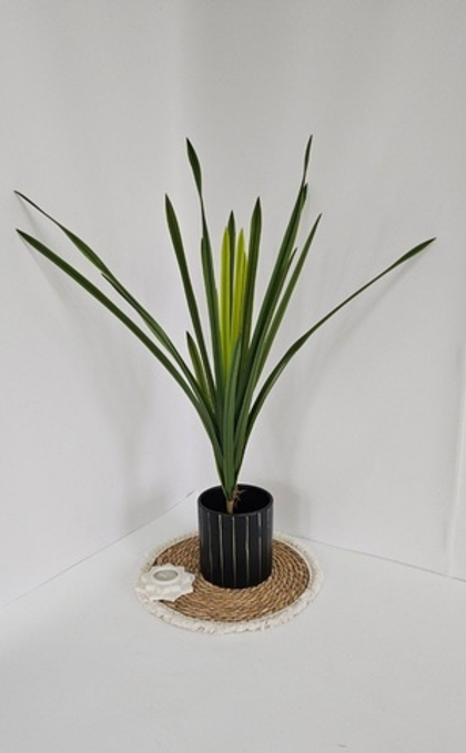 Листья цимбидиум / Арт 6304