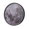 Настенно-потолочный светодиодный светильник Escada Planet 10226/SG LED Mars