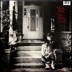 Bob Dylan / Under The Red Sky (LP)