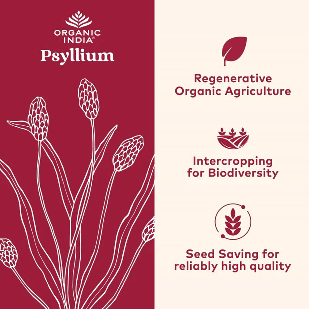Organic India, подорожник, клетчатка из цельной шелухи, 340 г (12 унций)