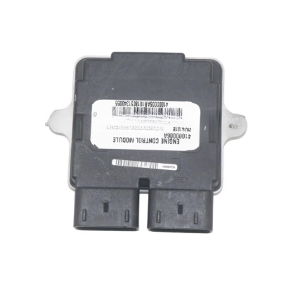 41000006A Оригинальный электронный блок управления двигателем ECM Harley-Davidson®