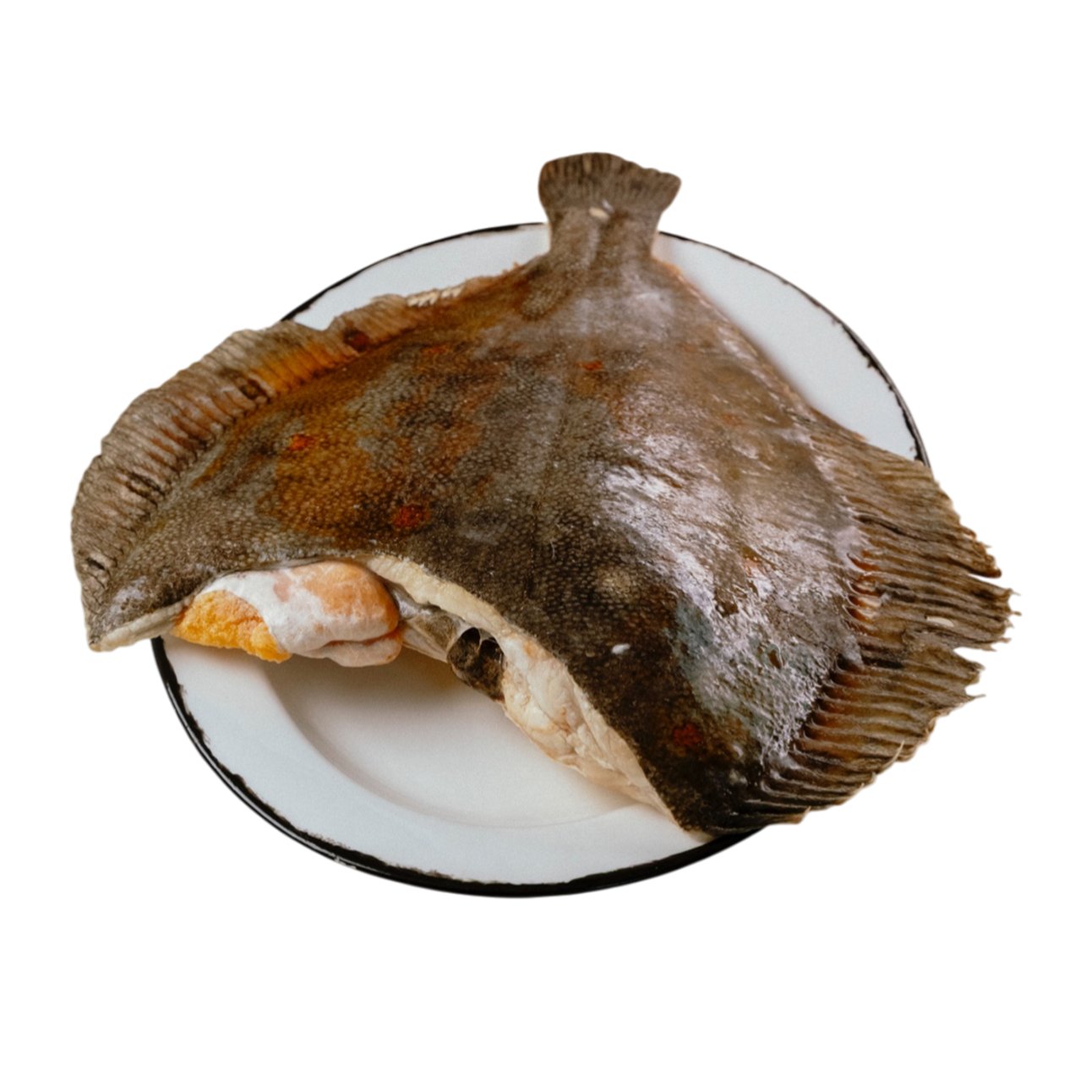 Камбала, с/м, 1+ кг