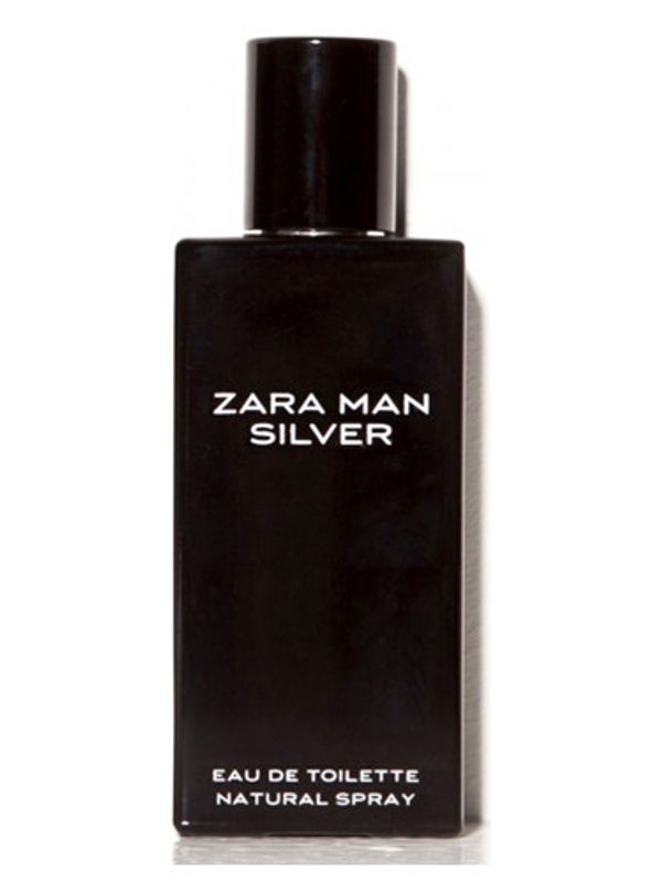 Zara Man Silver