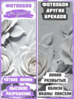 3D Объемные фотообои серые цветы розы