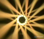 Световая голова V-SHOW WASH BEYE R1940L