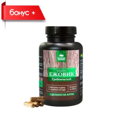 Concentrate Bearded Hedgehog, Концентрат Ежовик гребенчатый №60