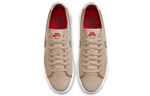 Кроссовки Daan Van Der Linden X Nike Blazer Low Sb Court