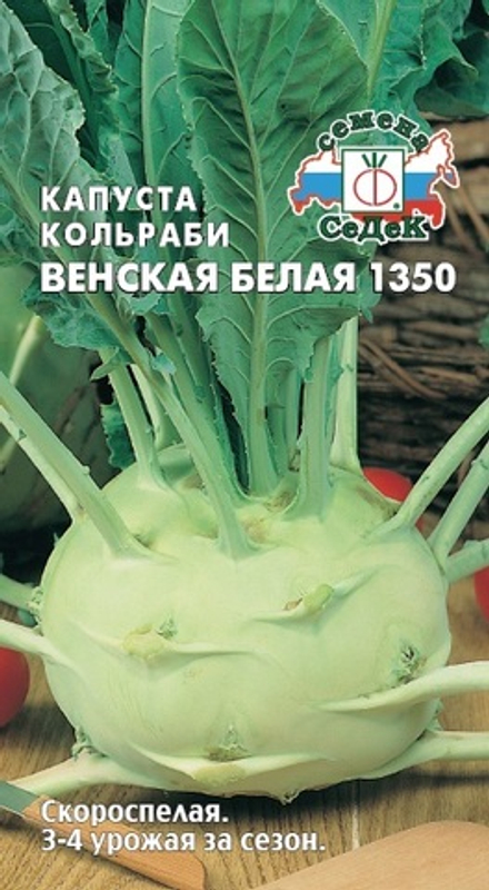 капуста Венская белая