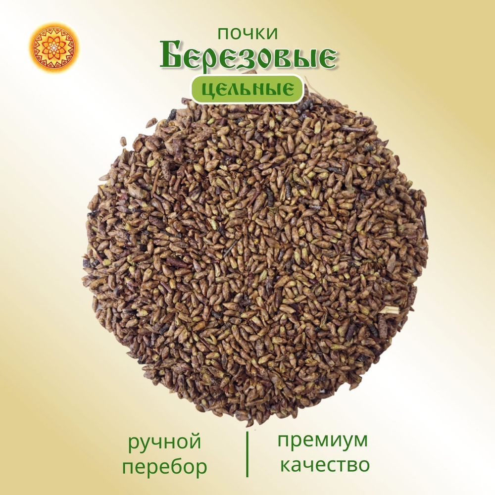 Березовые почки.