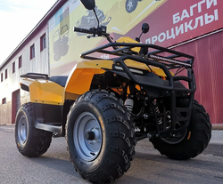 Квадроцикл IRBIS ATV 200