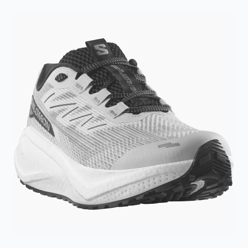 Женские Кроссовки для бега Salomon Aero Blaze 3 GRVL lunar