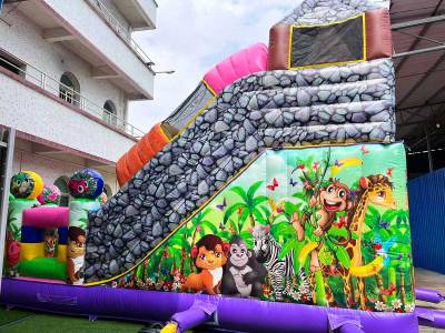 Коммерческий надувной батут «В гостях у зебры», 8*8*6 м