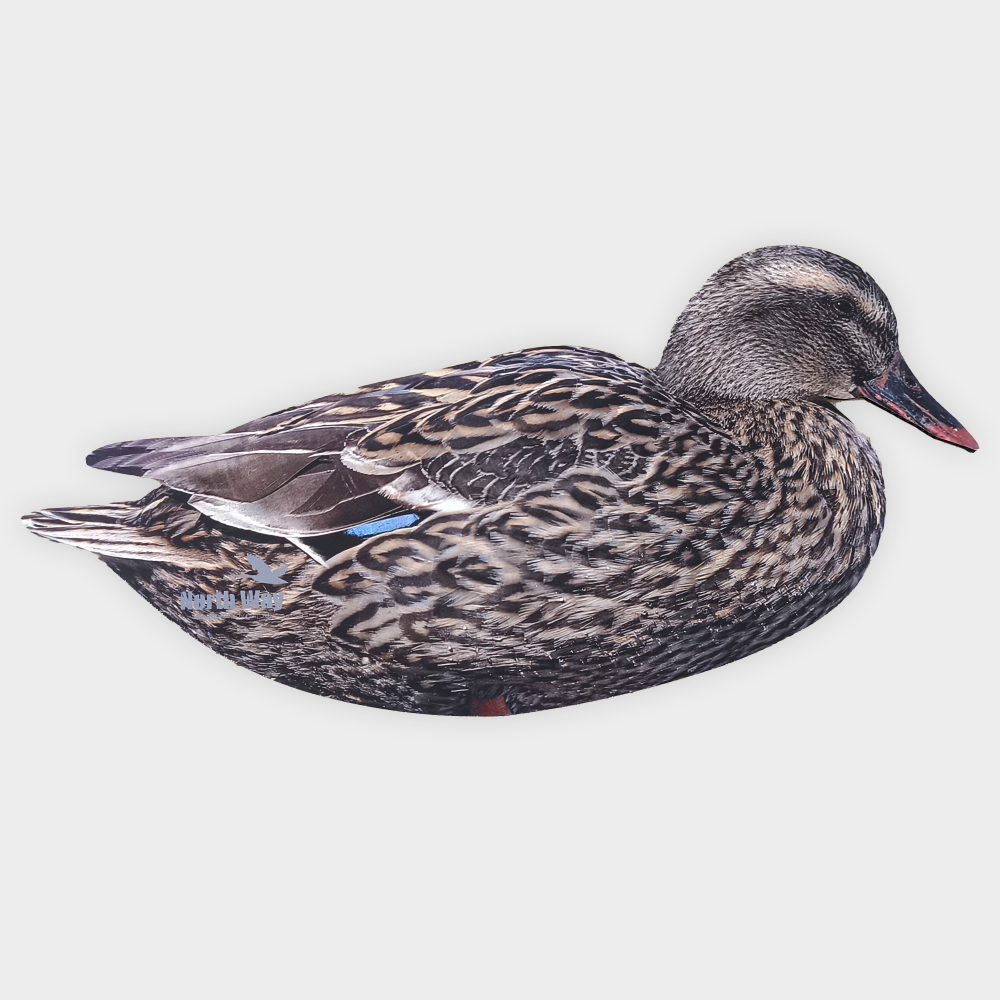 Кряква полевая (плоская) 12 шт.