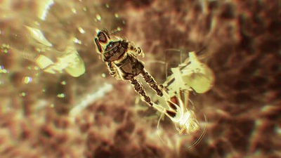 Игра Xenoblade Chronicles 3 (Английская версия) для Nintendo Switch