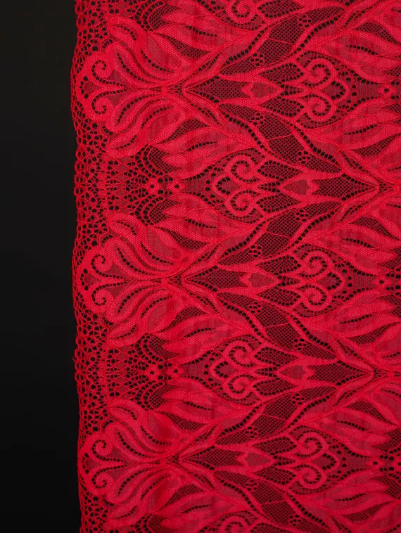 03-294 ОПТ Кружево эластичное 24 см, красный 100