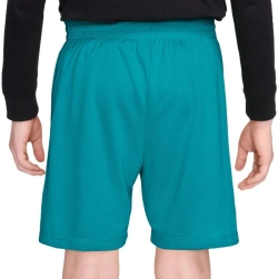 Детские теннисные шорты Nike Boys Dri-FIT Multi - energy/white
