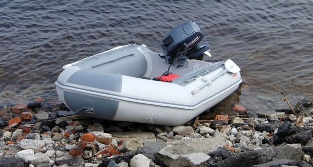 Лодка ПВХ BADGER CL 420