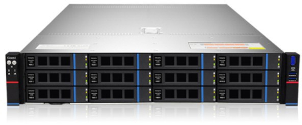 Серверная платформа 2U Gooxi SR201-D12R