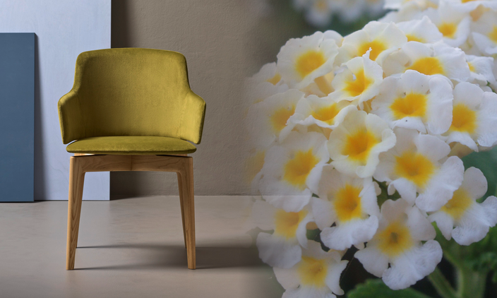 LANTANA