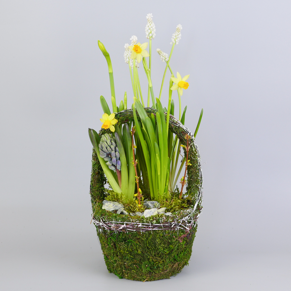 Композиция с первоцветами Лесная корзина M