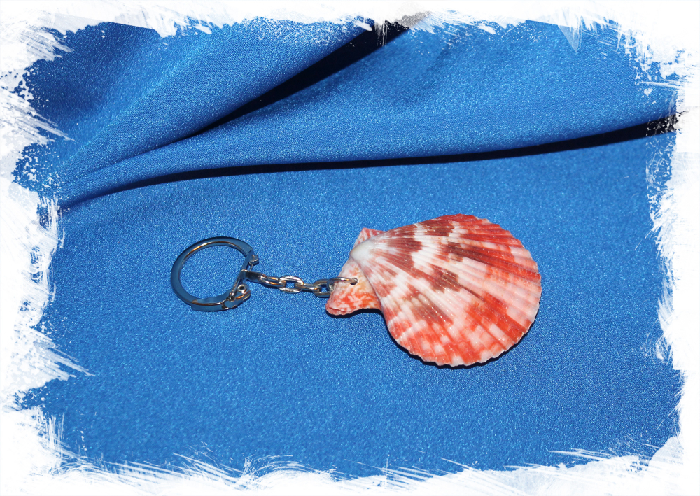 Брелок для ключей с ракушкой Цветного морского гребешка