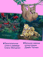 Книжки-картинки. Сладких снов, мой малыш!