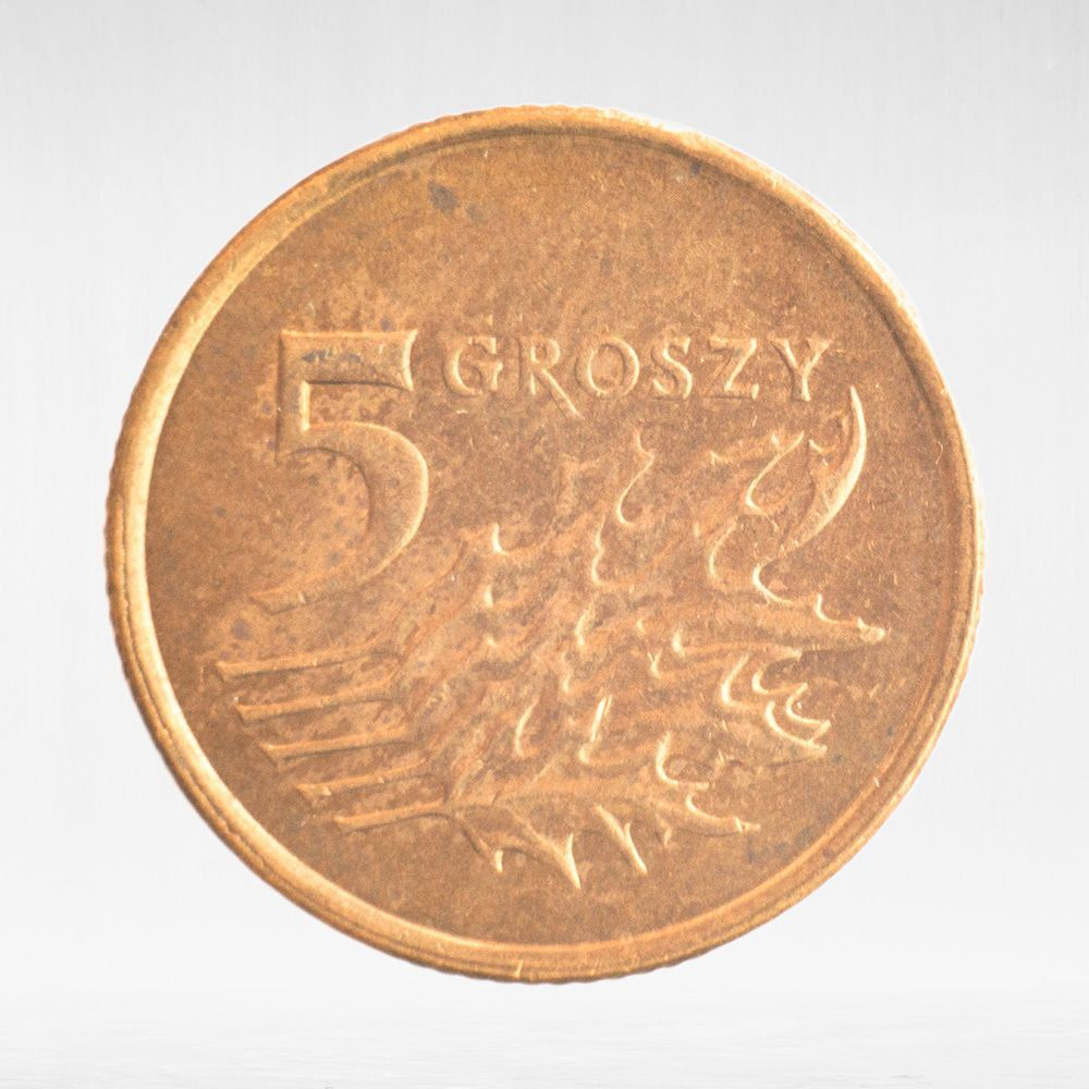Poland, 5 Groszy, 2008, VF
